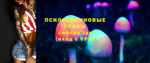 дурь Наволоки