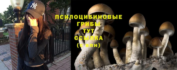 кокс Нея