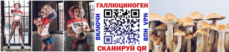 Псилоцибиновые грибы мицелий Сортавала